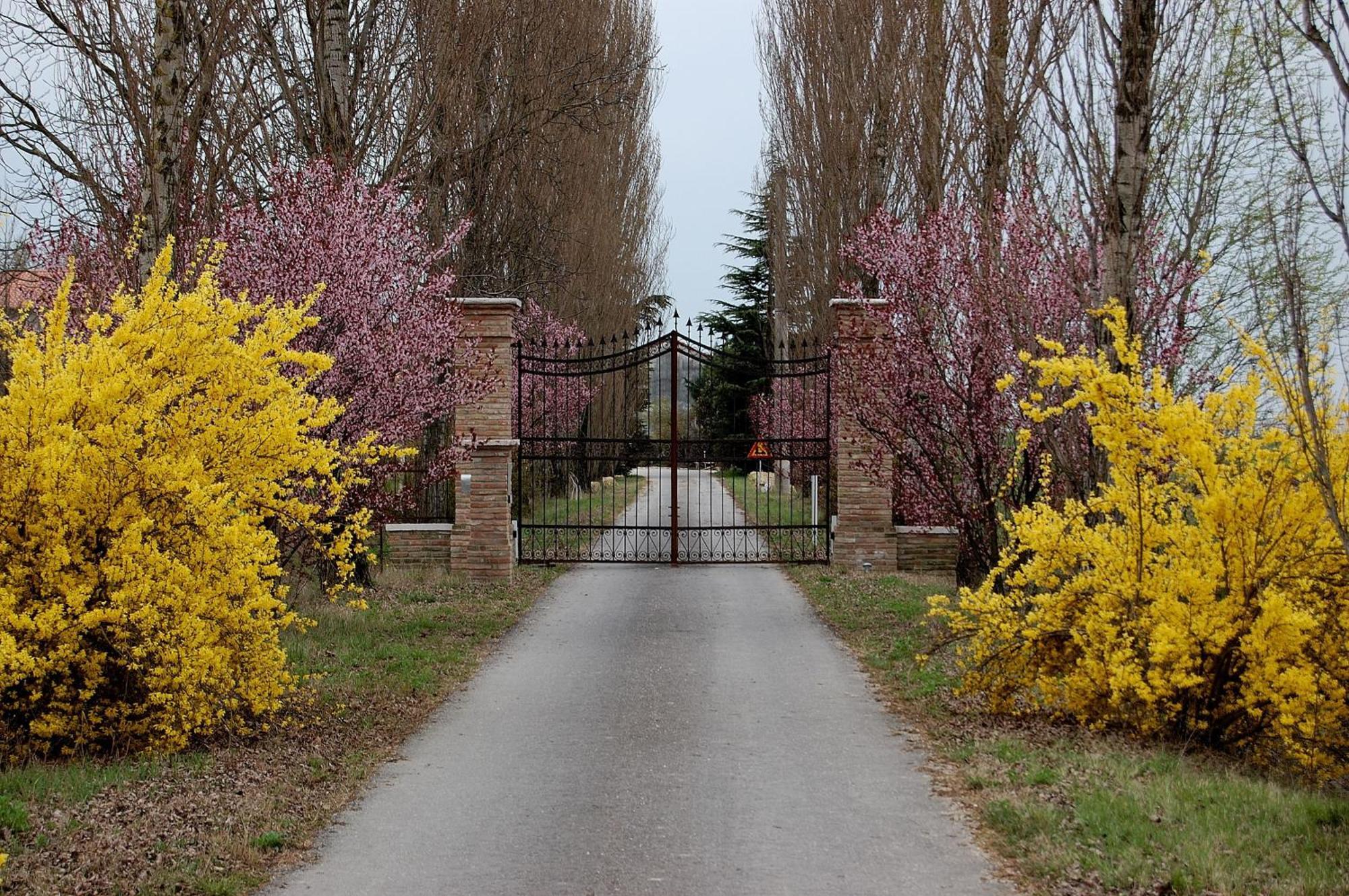 Agriturismo Corte Rocca San Giorgio di Mantova Exterior foto