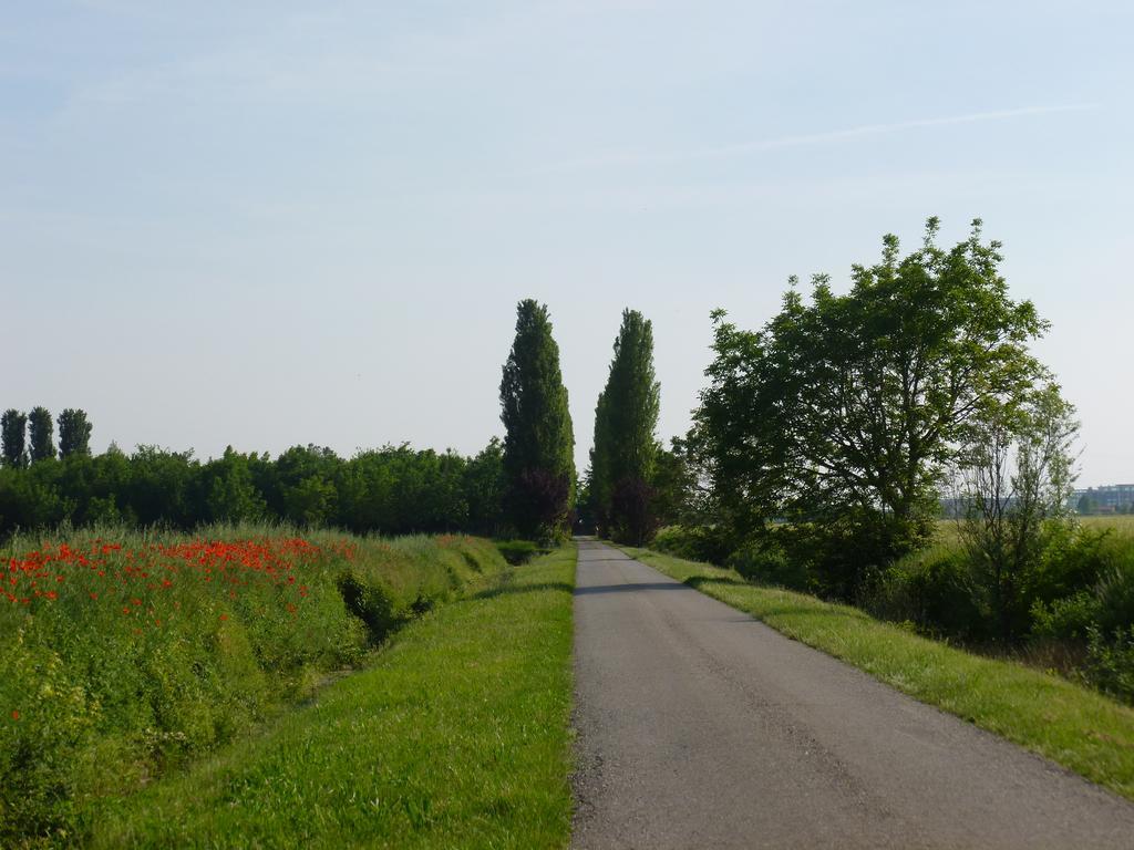 Agriturismo Corte Rocca San Giorgio di Mantova Exterior foto